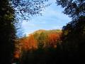 Kurz darauf lt die Morgensonne die Wlder in prchtigsten Herbstfarben erstrahlen.