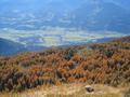 Blick vom Gipfelkreuz hinunter zur Stornalm (rechts der Bildmitte im Wald) und hinunter ins grne Ennstal.