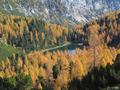 Abstieg von der Grafenbergalm zum Grafenbergsee in herrlich ursprnglicher Landschaft.
