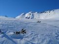 Auf den obersten 200 Hhenmeter ist der Schnee windgepresst - aber gar nicht allzu schlecht fahrbar.