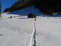Waren wir beim Aufstieg gnzlich und am Gipfel bis auf eine kurze Ausnahme heute einsam unterwegs, so trafen wir beim Abstieg doch auf etliche Wanderer (ca. 20). Vor allem um die sonnenbeschienene Fuchsalm gab es regen Verkehr.