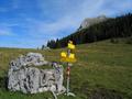 Nach der Engstelle erreicht man in wenigen Minuten die Weggabelung am Gsptitzen Stein. Der Weg auf den Lugauer fhrt nach rechts weiter. Im Hintergrund der felsige Gipfelaufbau.