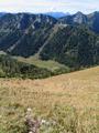 Tiefblick ber die recht steile Wiese hinunter zur (vermutlich) Haselkaralm.