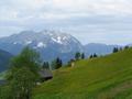 Oberhalb des Gehfts Hochbr geht es ber eine Wiese mit Grimmingblick hinauf zum Waldrand.