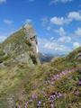 ... vorbei an kantigen Felsen und schnen Blumen ...