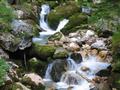 ... ehe es neben einem idyllischen Bach ...