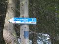 ... auf der gut beschilderten und als legale Mountainbike-Route ausgewiesen Schotterstrae ...