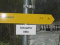 Die Strae zur Frauenalm ist eine Forststrae mit Fahrverbotstafel. Deshalb bin ich direkt von der Strae in Flachauwinkl gestartet.