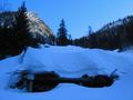 Auf der Karbachalm. Ein Opfer der schweren Schneedecke ? Wir werden es nie erfahren.