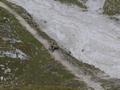Zur Jause entfleuchen wir dem Trubel, und verlassen die stark begangenen Wege - und beobachten einen Radfahrer, der sein Mountainbike gerade vom Oberhttensee herauf Richtung Akarscharte schiebt und trgt.