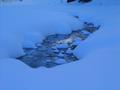 Unter der Eisschicht gurgelte ein dnnes Bchlein talwrts