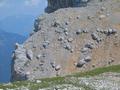 Wie hingewrfelt liegen viele Steine und grere Felsblcke auf den Westhngen der Spitzmauer. Hin und wieder wird man vom Lrm durch die Felswnde polternder Steine erschreckt.