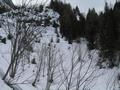 Ingrid in der Rinne, die nach rechts oben durch den Wald immer enger wird. Der Schnee in diesem Bereich ist sehr weich.