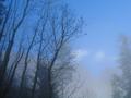 Schlielich aber wird die Nebeldecke dnner, der blaue Himmel schimmert durch ...