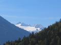 Aber bereits in diesen geringen Hhen kann man gute Ausblicke zum Dachstein mit seinen Gletschern genieen.