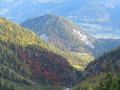 Abstieg hinab in die herbstlich gef�rbten W�lder um die Silberkarklamm.