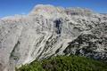 Die Richtung vom Neunerkogel Richtung Rllsattel ist klar, nur die Orientierung im unwegsamen Gelnde ist nicht so einfach. Ein einziges Steinmandl sowie  Latschengassen (darunter 2 Verhauer) leiten Richtung Rotgschirr im Osten.