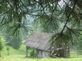 Nach einer halben Stunde ist alles wieder verflogen - beim weiteren Abstieg bleiben wir aber dennoch nicht trocken: Der Regen fllt nun aus den Bumen.