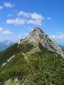 Nach den Felsstellen geht es unschwierig durch einen Latschengrtel weiter. Die Schlsselstelle wartet aber dann auf den letzten Metern auf den Rettenkogel ...