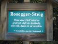 Der Jungfraunsteig mndet in den Rosegger-Steig. Ihm folge ich nun westwrts.