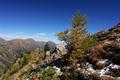 ... erreichen wir bald wieder aperes Terrain.