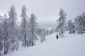 Am Plateau oben wandern wir parallel zu unserer Anstiegsspur sdwrts und kommen fast genau beim 
