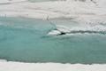 Die Eisdecke weist bereits etliche Risse auf.