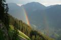 Herrlich. Das Gewitter hat sich verzogen. Der Regen - ein Klacks. Ruhe, Frieden. Ein Gams im Wald. Schlielich am unteren Ende des Regenbogens: Nein, kein Schatz - eine Forststrae - heute mindestens so freudig begrt, wie einen Schatz. 