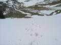 In der Schneerinne - der Schnee ist gerade richtig zum Begehen. Nicht zu hart, und auch nicht so weich, da ein Abrutschen zu befrchten wre.