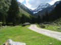 Ein letzter Blick vom Forstweg zurck zum Hochgolling.
