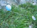 Am Fue der steileren Felswnde habe ich diesen Luftballon gefunden, der von einem Feuerwehrfest bei Eggerding in Obersterreich (nahe Schrding) stammte, und mindestens 80 km Luftlinie zurckgelegt hatte. Ich habe ihn mit Fotos und Kartenausschnitten vom Fundort an die am Zettel vermerkte Adresse zurckgeschickt.