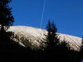 Abstieg durch eine neu geschlagene Waldschneise, teilweise neben meterhohen Zunen. Whrend die Westhnge noch von der Sonne beschienen werden ...