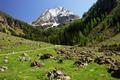Ein letzter Blick hinauf zum Waldhorn.