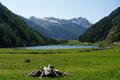 Am lieblich gelegenen Riesachsee herrscht bereits reger Betrieb. Gro und Klein geben sich ein Stelldichein ...