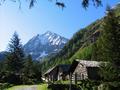ber die Forststrae zu den Kothtten - im Hintergrund das Waldhorn.