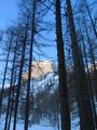 Kurz durch den Wald hindurch.