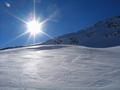 Der Sonne entgegen.