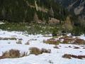 ber die Schneequalitt im Bereich dieses Latschengrtels schweige ich lieber.