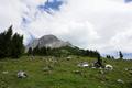 2 Wanderer am Weg zur Werfener H�tte.