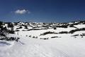 Am Plateau liegt noch ausreichend Schnee (schtzungsweise 1 Meter). Das weitlufige Gelnde ohne Orientierungspunkte erfordert stabiles Wetter und gute Sicht.