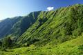 S�dlich der Glingspitze vorbei zur Kreealm. Im Sp�tnachmittagslicht leuchten die saftigen H�nge beinahe unwirklich gr�n.