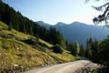 ... folgt man nun einem gut ausgebauten Forstweg - unter Ausnutzung einiger Abk�rzungsm�glichkeiten.