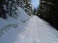 Wir folgen der Forststrae zur Breitenberger Alm. Allzu viele Schitourengeher sind nach den letzten Neuschneefllen noch nicht zum Blaseneck unterwegs gewesen.