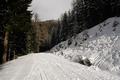 Auf dem Weg zur Brandalm trifft man auf eine Vielzahl verschiedenartiger Spuren: Schispuren, Snowboardspuren, Schneeschuhspuren, Wandererfuspuren, Wildspuren, Hundepuren, Schidoospuren, Schlittenspuren, keine Spuren, ... :-)