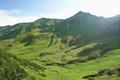Hinab zum markierten Wanderweg, der von den Draugsteinalmen ber das Draugsteintrl zur Tappenkarseealm fhrt ...