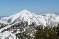 2 weitere Schitourengeher haben ebenfalls den Aufstieg auf den Haselkogel gewhlt. Im Hintergrund der Talkenschrein.