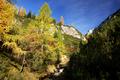 Herbstfarben