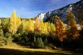 Herbstfarben
