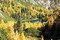 Und etwas spter genieen wir prchtige Tiefblicke zum Grafenbergsee, eingebettet im herbstlich gefrbten Wald.