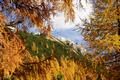 ... ehe wir wieder in den herbstlich-bunten Wald eintauchten, der ab und an einen Ausblick zum Hirnberg freigab.